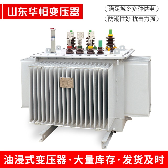 S13-10000/35环江环江环江电力变压器